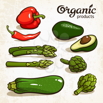 Vector illustration of vegetables: avocado, chili, pepper, asparagus, artichoke, zucchini