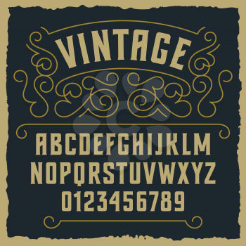 Vintage decorative font / Sample design with decorative and grunge elements