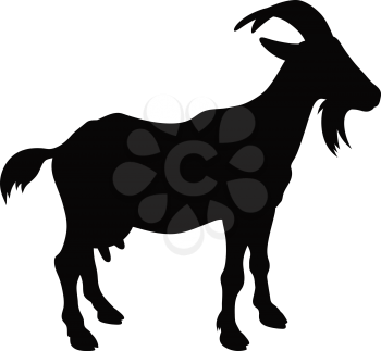 Goat silhouette isolated on white. Vector illustration