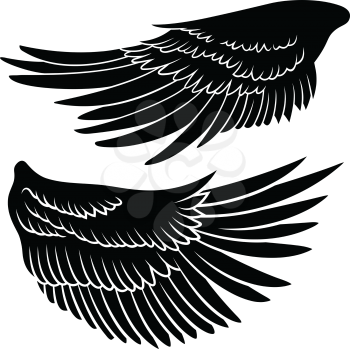 Eagle wing silhouettes. Vector illustration