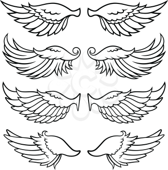 Sketch of eagle wings. Vector illustration