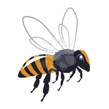 honey bee vector illustration