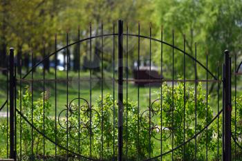 Beautiful forged gate on a background of green plants.