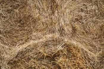 Texture of haystacks from round bales on a sunny day.