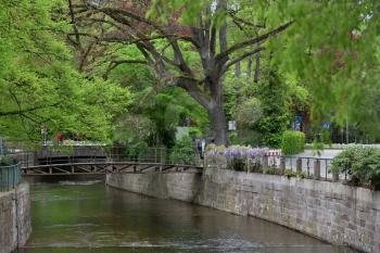 Beautiful river Ooc in Baden-Baden and the bridge over it, a large tree and wisteria