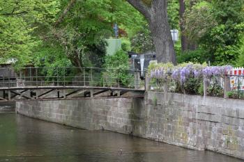 Beautiful river Ooc in Baden-Baden and the bridge over it, a large tree and wisteria