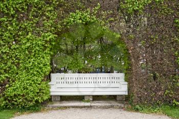 White bench in a hedge arch in a European public park with text space