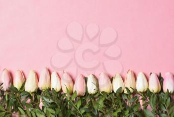 Template with text space and tulips below on a pink background. Mothers Day or March 8 holidays concept.