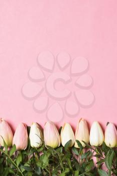 Template with text space and tulips below on a pink background. Mothers Day or March 8 holidays concept.