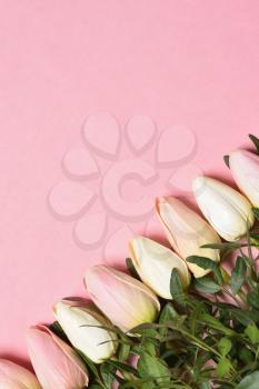 Template with text space and tulips in the corner on a pink background. Mothers Day or March 8 holidays concept.