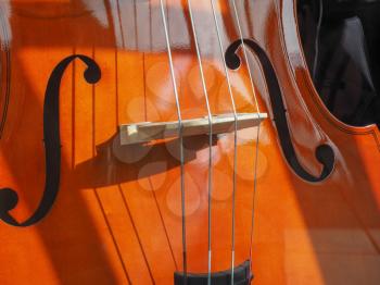 Detail of a cello string music instrument
