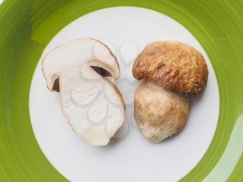 Boletus edulis aka penny bun or porcino mushroom or cep