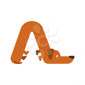 Letter A is dog. pet font. Dachshund alphabet. Lettering home animal