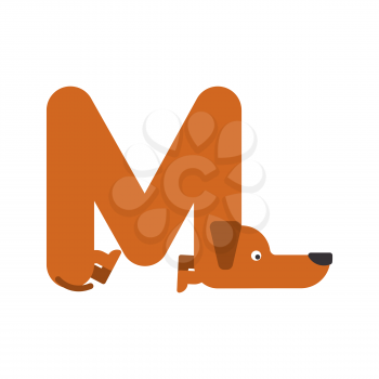 Letter M is dog. pet font. Dachshund alphabet. Lettering home animal