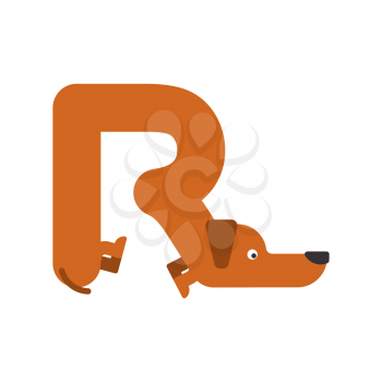 Letter R is dog. pet font. Dachshund alphabet. Lettering home animal