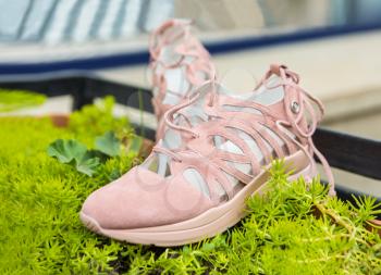 Pink woman sport shoes on the green plant