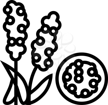 chumiz groat line icon vector. chumiz groat sign. isolated contour symbol black illustration