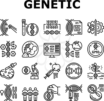 Genetic Engineering Collection Icons Set Vector. Animal And Human, Fruit And Meat Gmo Food, Chemical Laboratory Research And Development Genetic Black Contour Illustrations