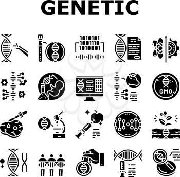 Genetic Engineering Collection Icons Set Vector. Animal And Human, Fruit And Meat Gmo Food, Chemical Laboratory Research And Development Genetic Glyph Pictograms Black Illustrations