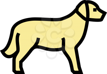 golden retriever dog color icon vector. golden retriever dog sign. isolated symbol illustration