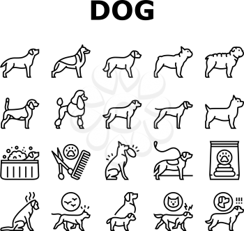 Dog Domestic Animal Collection Icons Set Vector. Yorkshire And Rottweiler, Beagle And French Bulldog, Golden Retriever And German Shepherd Dog Black Contour Illustrations