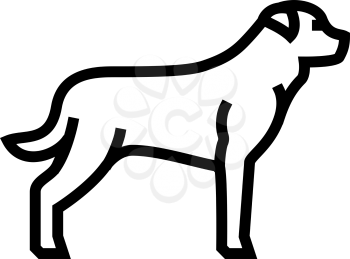 rottweiler dog line icon vector. rottweiler dog sign. isolated contour symbol black illustration