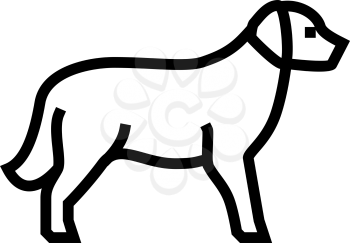 golden retriever dog line icon vector. golden retriever dog sign. isolated contour symbol black illustration