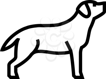 labrador retriever dog line icon vector. labrador retriever dog sign. isolated contour symbol black illustration
