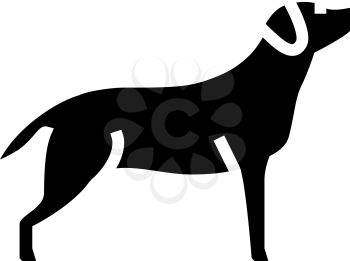 labrador retriever dog line icon vector. labrador retriever dog sign. isolated contour symbol black illustration