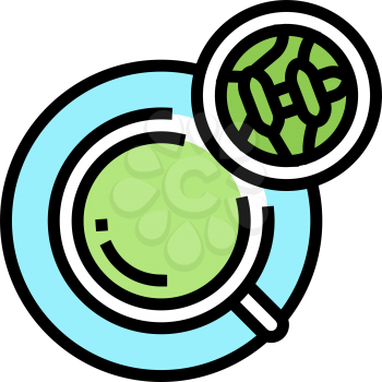 green tea color icon vector. green tea sign. isolated symbol illustration