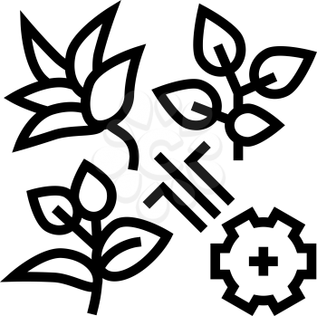 breeding varieties of tea line icon vector. breeding varieties of tea sign. isolated contour symbol black illustration