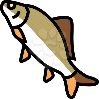 crucian carp color icon vector. crucian carp sign. isolated symbol illustration