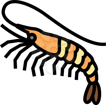 white leg shrimp color icon vector. white leg shrimp sign. isolated symbol illustration