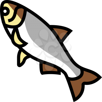 silver carp color icon vector. silver carp sign. isolated symbol illustration