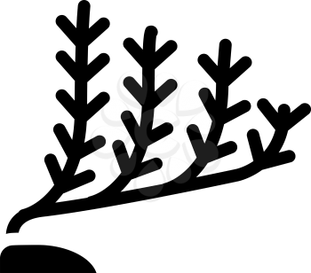 marine seaweed glyph icon vector. marine seaweed sign. isolated contour symbol black illustration