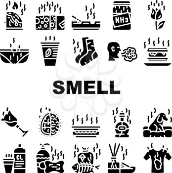 Smell Feel And Sense Collection Icons Set Vector. Cheese And Flowers, Smoking And Garbage Smell, Ammonia And Aroma Candles, Durian And Dog Glyph Pictograms Black Illustrations