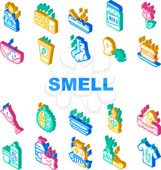 Smell Feel And Sense Collection Icons Set Vector. Cheese And Flowers, Smoking And Garbage Smell, Ammonia And Aroma Candles, Durian And Dog Isometric Sign Color Illustrations