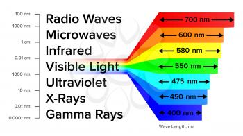 Electromagnetic Spectrum Information Scheme Vector. Radio Waves And Microwaves, Infrared And Visible Light, Ultraviolet, X-rays And Gamma Rays Electromagnetic Structure. Illustration