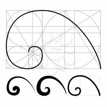 Nautilus Golden Ratio Geometric Spiral Set Vector. Collection Of Designed Split Chambered Nautilus Form Scientific Background. Drawn Helix Shape Mathematics Formula Concept Template Illustrations