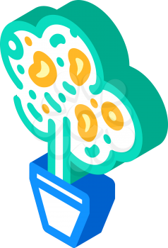 home tree mango isometric icon vector. home tree mango sign. isolated symbol illustration