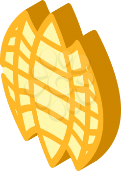 cut mango isometric icon vector. cut mango sign. isolated symbol illustration