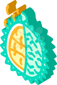 durian smell isometric icon vector. durian smell sign. isolated symbol illustration