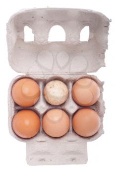 Royalty Free Photo of a Carton of Eggs