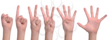 Royalty Free Photo of Hands Showing Numbers