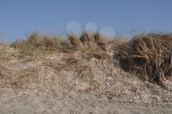 Royalty Free Photo of a Sand Dune