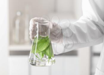 Lab worker holding flask with leaves on blurred background, closeup�