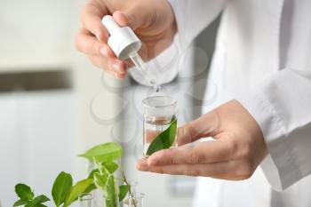 Lab worker dripping water into flask with leaf on blurred background, closeup�