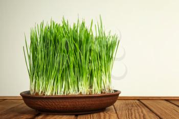 Dish with sprouted wheat grass on table against white background�