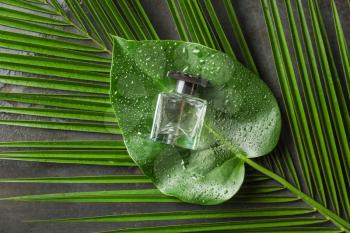 Bottle of perfume with tropical green leaves on dark table�