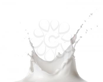 Splash of milk on white background�